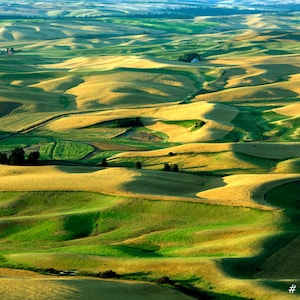 Agriculture Landscape photography - American farmland in eastern washington state,  Large print size for home and office wall decor picture