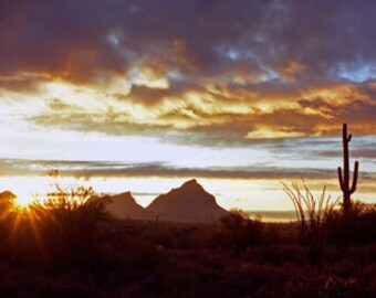 Desert landscape in Saguaro National Park. Nature Landscape photography