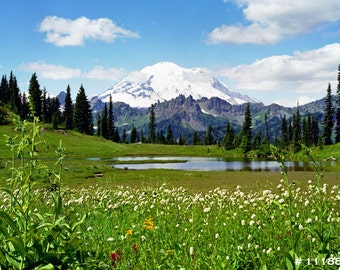 Mt Rainier in Summer. Nature landscape photography, Great for your home or office wall