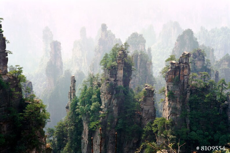 May include: A misty mountain landscape with tall, thin rock formations covered in trees. The fog creates a sense of mystery and wonder.