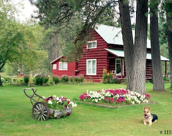 American family Log house, Lovely home decor photography.