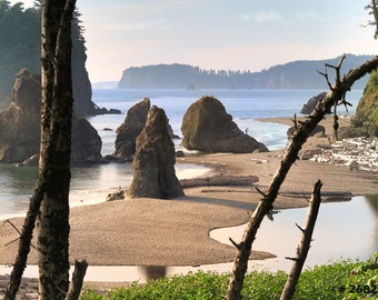 Nature Landscape photography - Ruby Beach in Washington coast, Home and Office Wall decor photograph