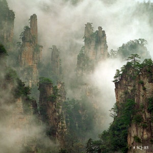 Nature Landscape Fine Art photography - Zhangjiajie National Forest, China.