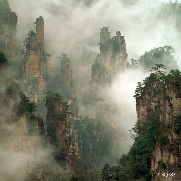 La nature paysage Fine Art photographie - forêt nationale de Zhangjiajie, Chine.