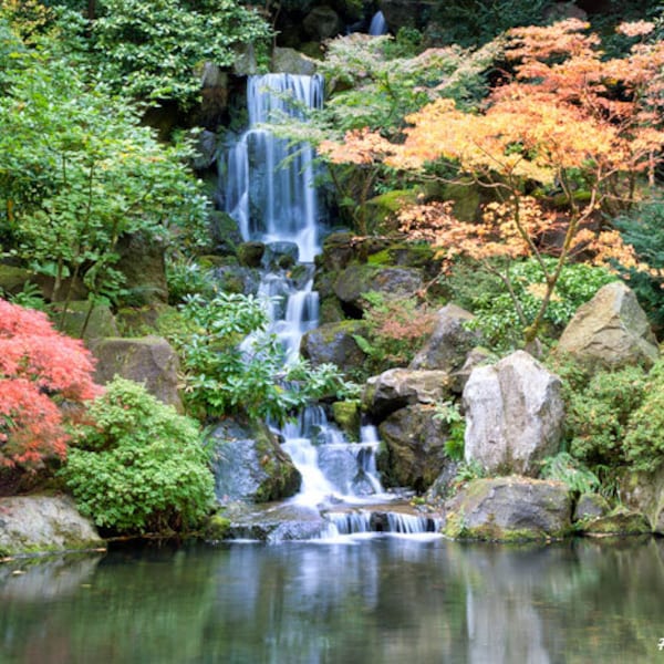 Outdoor nature landscape photography - Japanese Garden in autumn, Home and Office wall decor photograph.