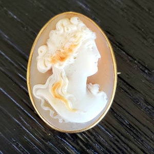 14k Antique Cameo pendant | Victorian necklace