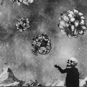 May include: A black and white photo collage featuring a skull wearing a suit, a mountain range, and several black and white flowers.