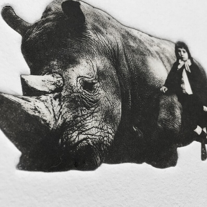 Boy and Rhino 5 image 3