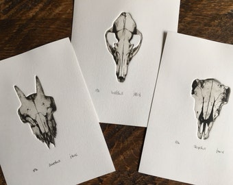 Skull Set - set of 3 original black and white art print of the skull of a wolf, a deer and a sheep