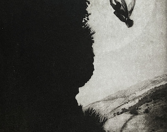 Exterior No.62: The Fall