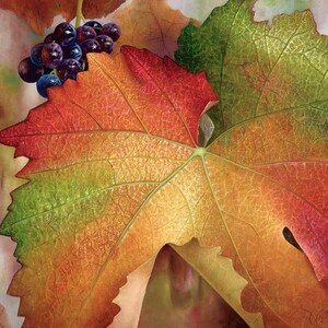 Le Feuille de Vigne Giclee Canvas 9&quot; x 6&quot; - Canvas Print