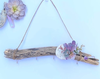 Handmade Driftwood Wall Art, Sand-dollar Decor, Succulent Gifts, Amethyst Stone Decor, Macrame Beach Art, Jewelry Wall Hanger, Crystal Decor