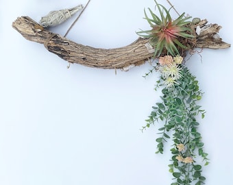 Handmade Driftwood Decor, Air Plant Hanger, Boho Jewelry Stand Hanger, Boho Wall Decor Art, Succulent Wall Art, Moss Wall Decor, Zen Decor