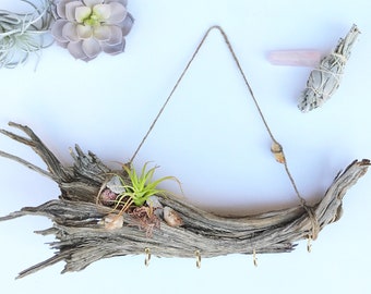 Handmade Air Plant Wall Hanging, Driftwood Branch Decor, Succulent Wall Art, Meditation Decor, Beach Wall Decor, Boho Jewelry Holder Display