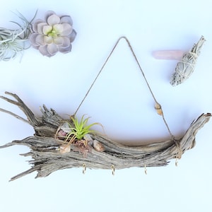 Handmade Air Plant Wall Hanging, Driftwood Branch Decor, Succulent Wall Art, Meditation Decor, Beach Wall Decor, Boho Jewelry Holder Display