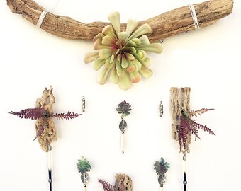 Handmade Succulent Wall Hanging, Air Plant Wall Decor, Cactus Decor, Desert Decor, Flower Wall, Driftwood Wall Art, Western wall decor, Zen