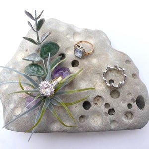 Può includere: Un porta anelli in pietra grigia con tre anelli, due d'oro e uno d'argento, e una piccola pianta verde con fiori viola.