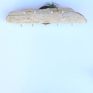 May include: A rustic wooden shelf with five hooks and a small potted plant. The shelf is made from driftwood and has a natural, weathered look.