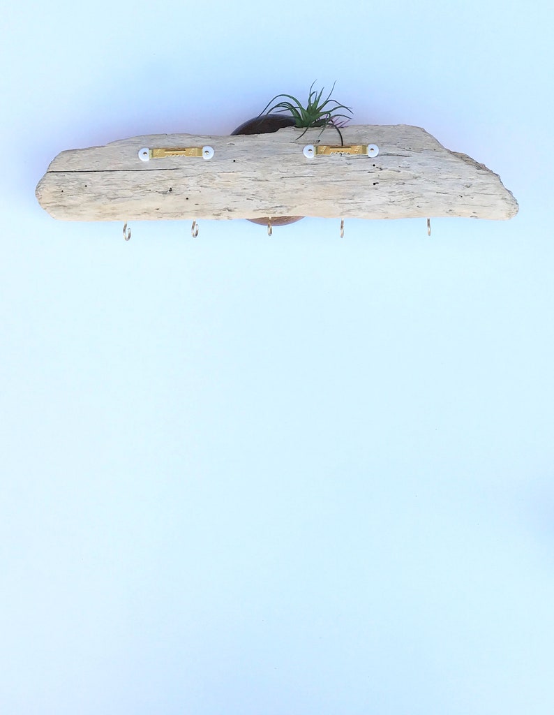 May include: A rustic wooden shelf with five hooks and a small potted plant. The shelf is made from driftwood and has a natural, weathered look.
