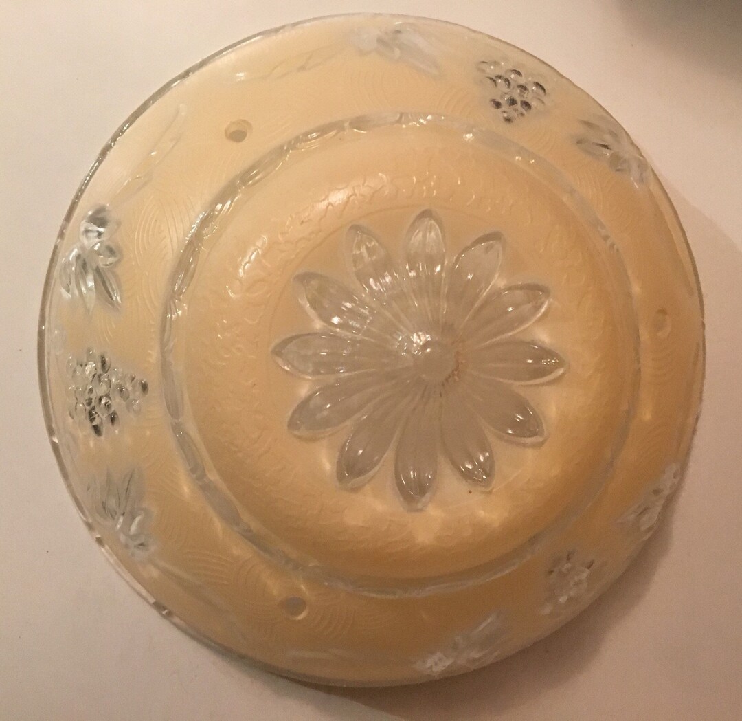Vintage ETCHED GLASS Retro Ceiling Light Cover, Glass Dome Light Cover