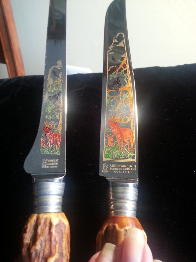German Solingen Carving Set anton Wingen Stainless With Stag Handles Etsy