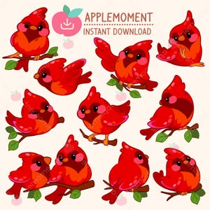 Lindos adhesivos digitales imprimibles kawaii, clipart de animales, pájaro cardenal, PNG, comercial