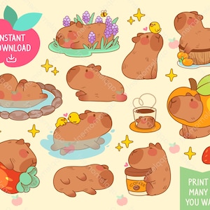 Cute Kawaii Printable Digital Stickers Clipart Orange Giant Cavy Rodent Capybara, Coffee Cafe, Printable Planner Stickers, PNG, Commercial