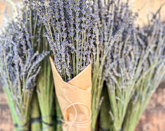 Dried Lavender Bundles- Dried Lavender Buds // Dried Lavender Stems | Lavender Bunches | Lavender Bouqets | Lavender Buds