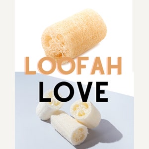 Whole Loofah Sponge | Grown in USA Variety of Sizes, Eco-Friendly, Plant-Based, Biodegradable, Naturally Grown Loofa Luffa Luffah Sponges |