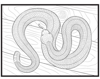 Snake, Single Coloring Page