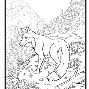 Fox, Single Coloring Page