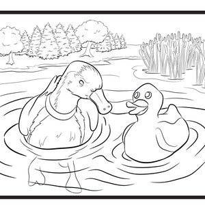Enten, Einzel Malseite