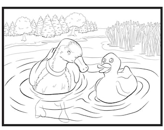 Ducks, Single Coloring Page