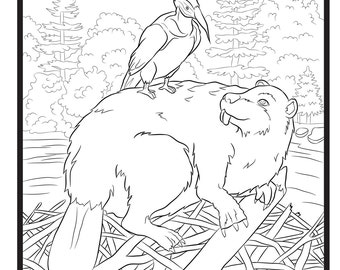 Beaver and Wood Pecker, Single Coloring Page