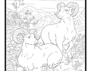 Rams, Single Coloring Page