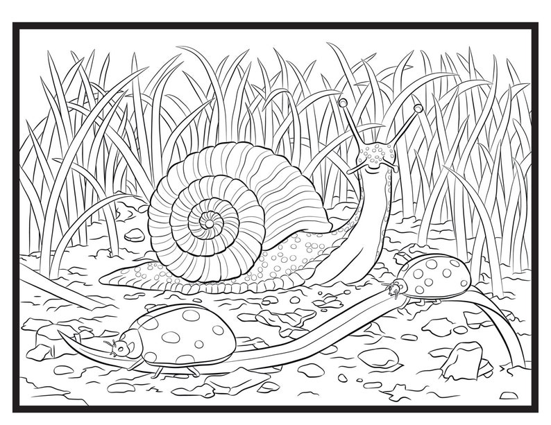 Snail and Lady, Single Coloring Page 画像 1