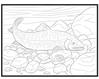 Trout, Single Coloring Page