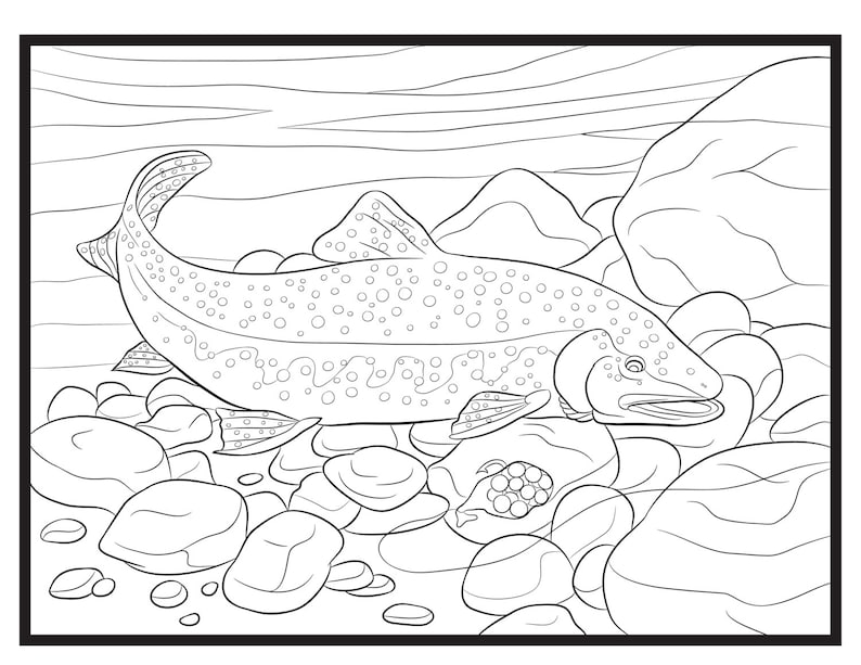 Trout, Single Coloring Page image 1