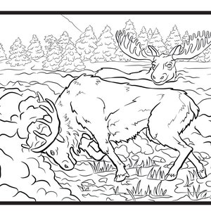 May include: A black and white line drawing of two moose in a snowy forest setting. The moose are standing in a clearing with trees in the background. The moose are facing each other, with their antlers interlocked.
