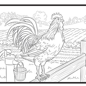 Rooster, Single Coloring Page