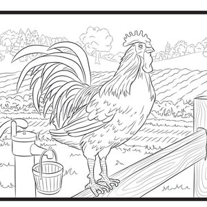 Rooster, Single Coloring Page