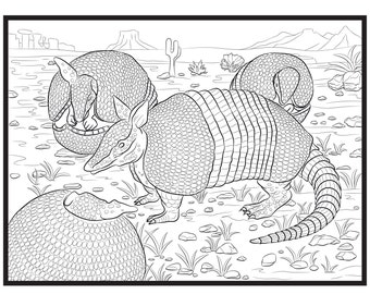 Armadillo, Single Coloring Page