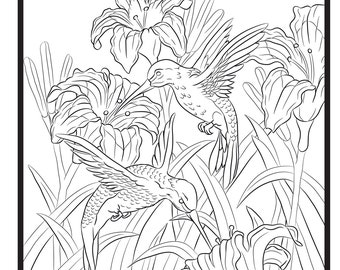 Humming Birds, Single Coloring Page