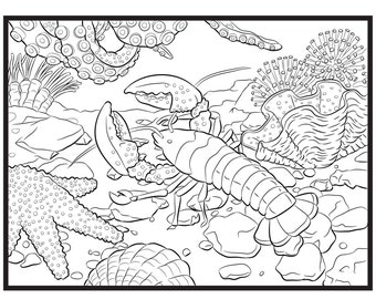 Lobster, Single Coloring Page