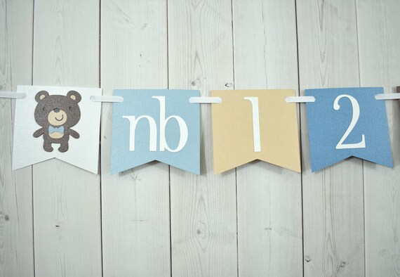 Teddy Bear 12 Month First Year Photo Banner Pennant Flag Sign