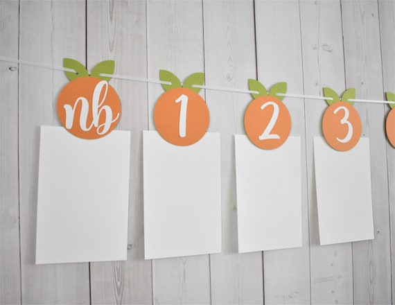 Orange Fruit Little Cutie 12 Month First Year Photo Banner Birthday Party Orange Green Clementine Il_570xn