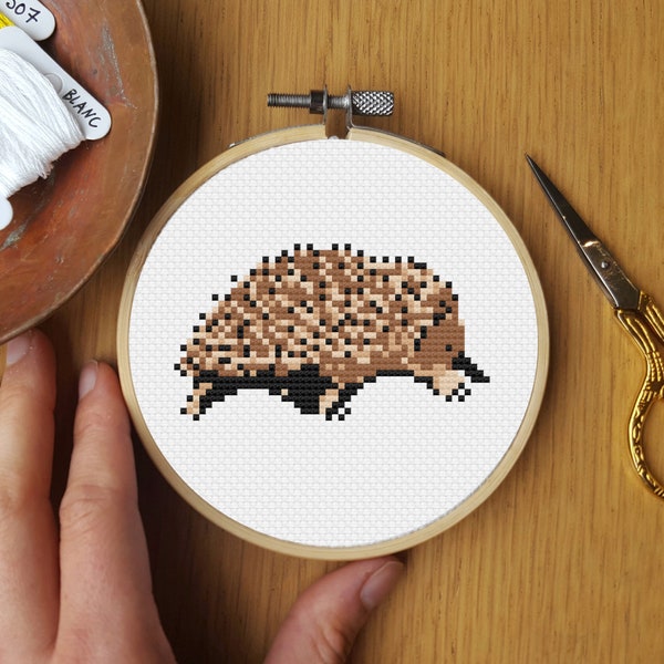 Echidna Cross Stitch Pattern | Australian Cross Stitch | Cute Cross Stitch Chart