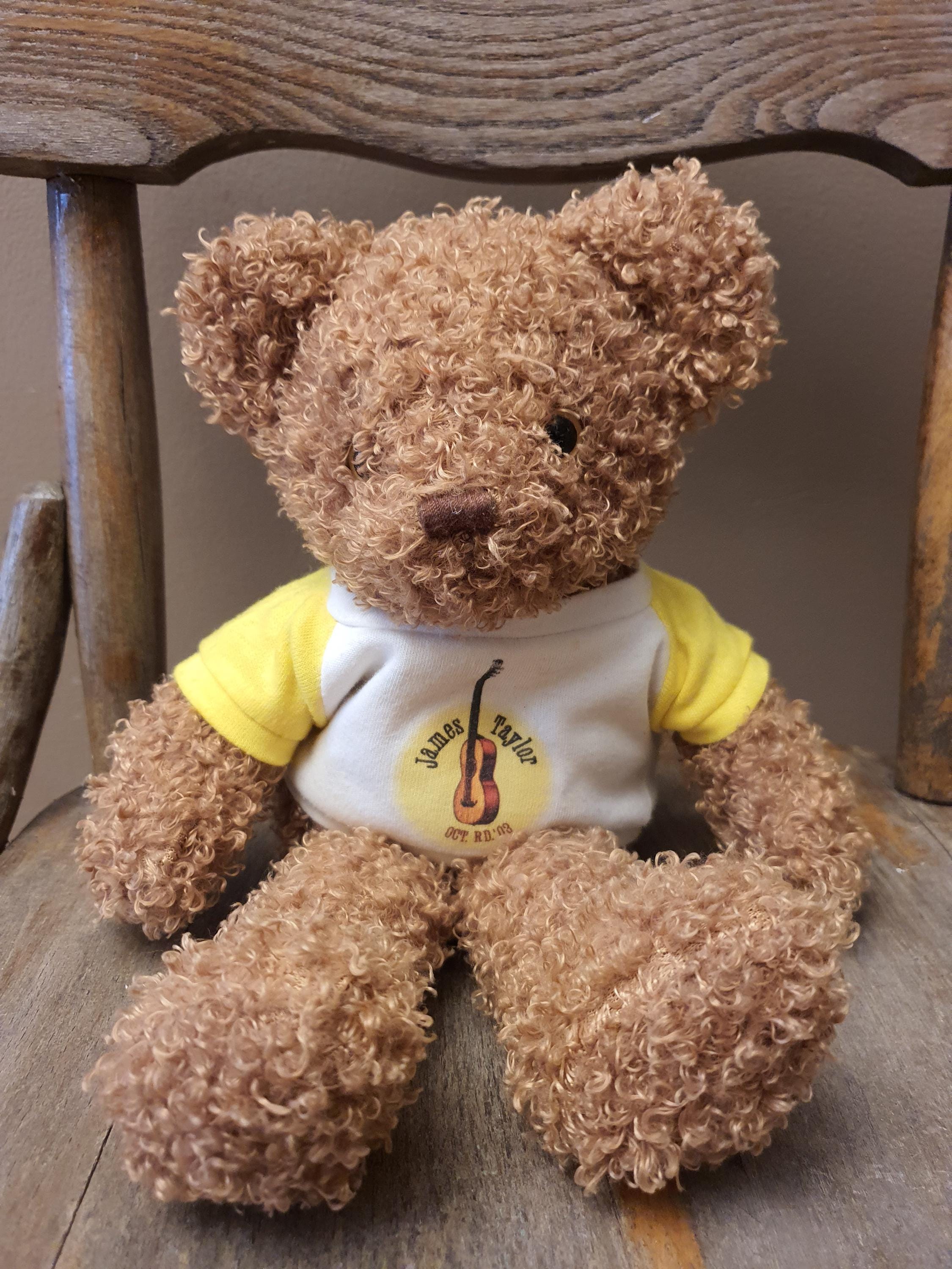 Taylor Teddy Bear - Etsy