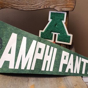 May include: Green felt pennant with the words "AMPHI PANTHERS" in white block letters. A black panther head graphic is on the left. A green and white letter "A" is also in the image. The pennant is displayed on a wooden chair.