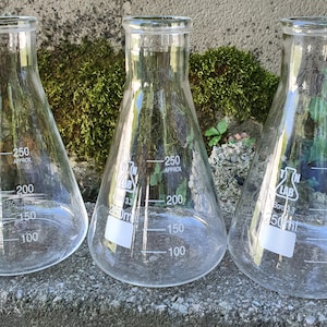 Lab Glass Set of 3 Erlenmeyer Flasks-Glass Beakers-Lab Glass-Glass Erlenmeyer Flask-Laboratory Glassware-Science Display-Halloween Décor